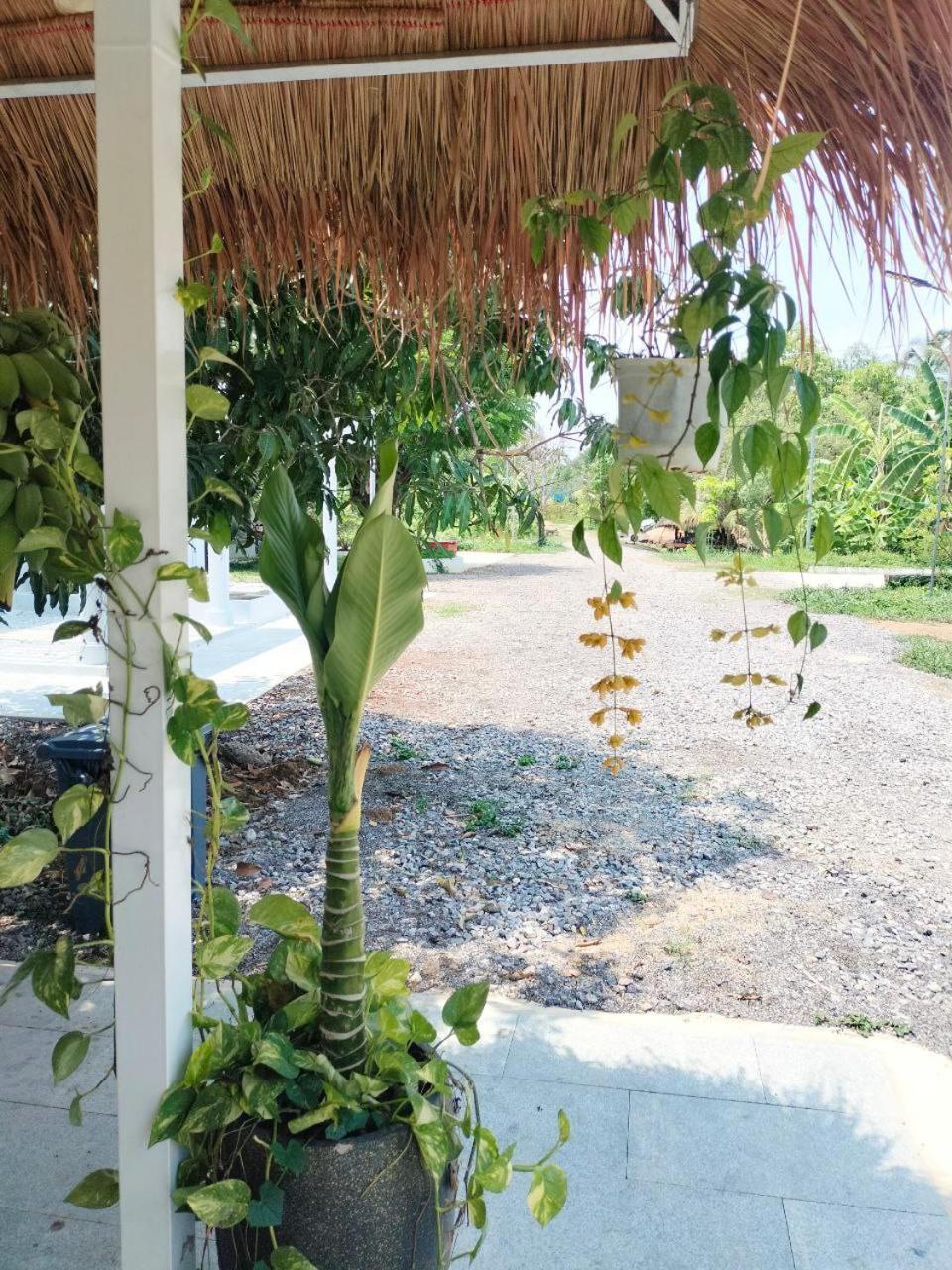 Primprey Second Home พระตะบอง ภายนอก รูปภาพ